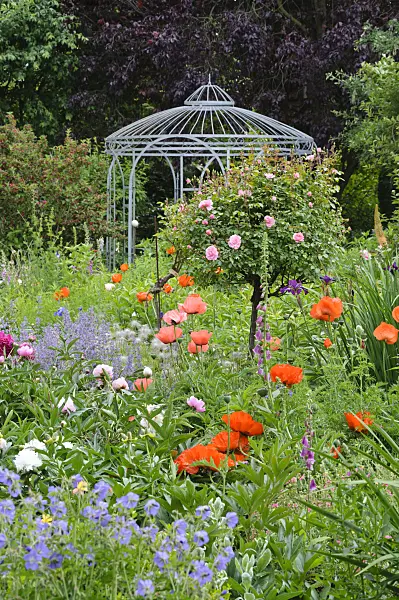 473072 - Oriental poppy (Papaver orientale), roses (Rosa) and peonies (Paeonia) with garden pavilion