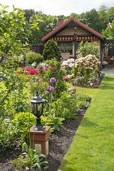 532019 - Ornamental onions (Allium) and rhododendrons (Rhododendron) in an allotment garden