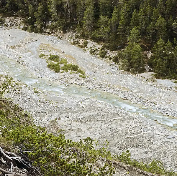 250005 - Ova dal Fuorn, Swiss National Park, Switzerland