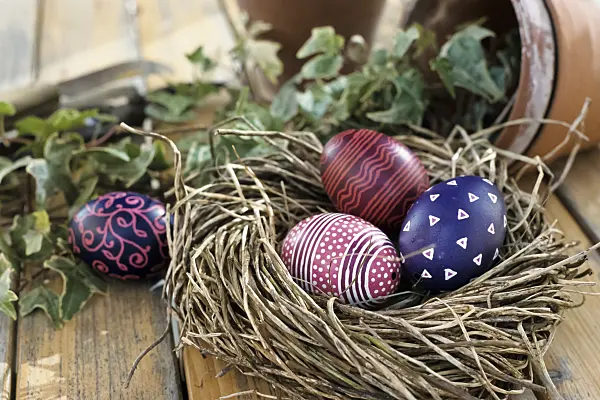 432052 - Painted Easter eggs in a nest