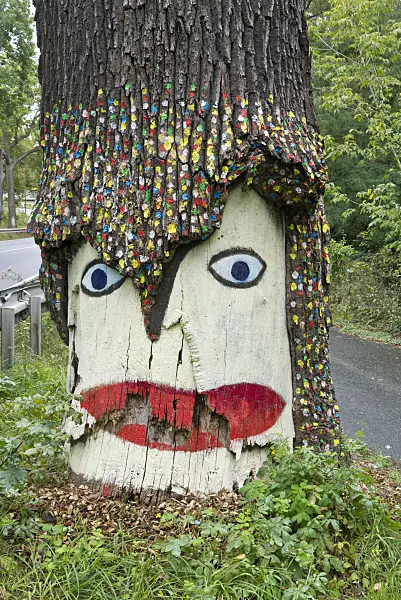 561086 - Painted tree on roadside