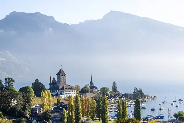 453188 - Palace and Marina, Spiez, Switzerland