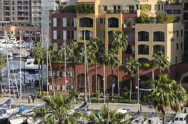 533096 - Palm trees at a marina, Monaco