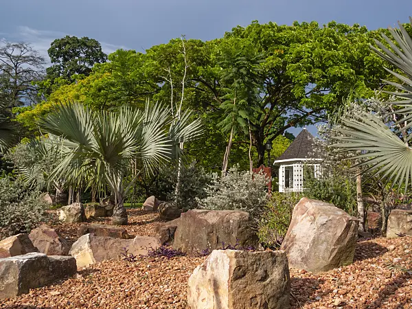 411062 - Palm trees between large stone blocks in a rock garden, Singapore Botanic Gardens