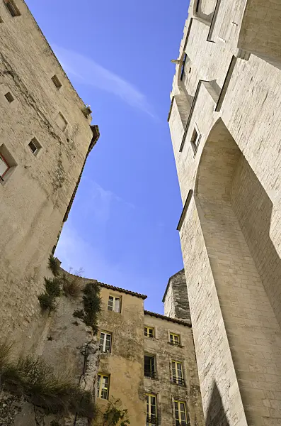 557215 - Papal palace, Avignon, Provence, France