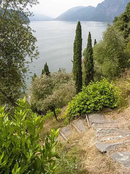 414124 - Parco degli Olivi at Lago di Lugano, Lugano, Switzerland