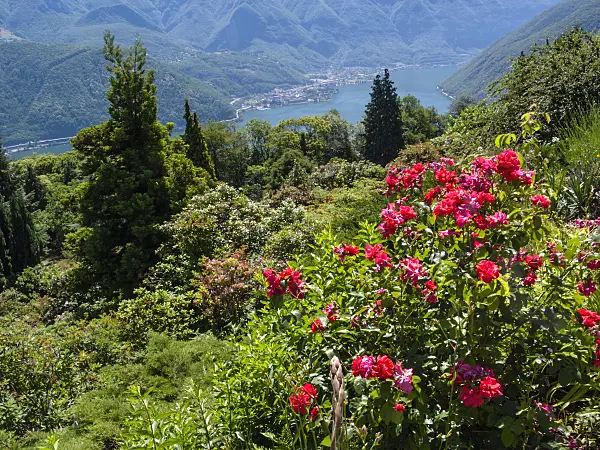 414098 - Parco San Grato, Carona, Suisse