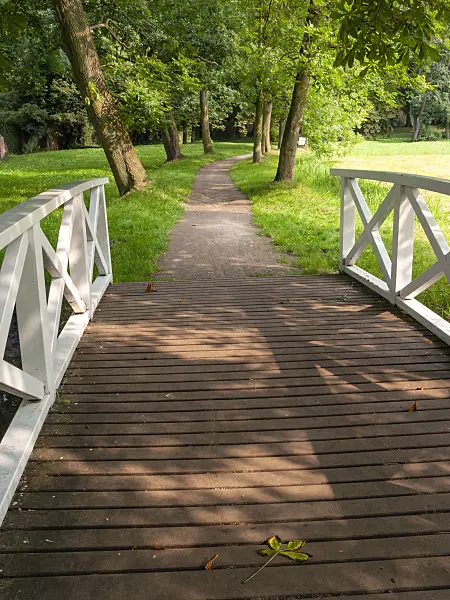 415071 - Park path over a wooden bridge with a white wooden railing and high alley trees
