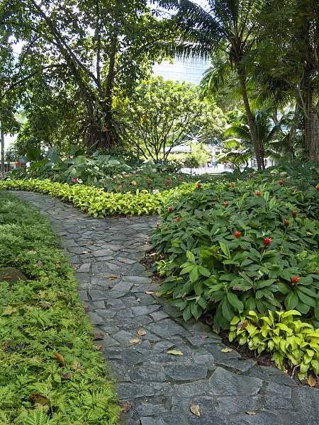 411092 - Path made of uneven stone slabs between flowering shrubs in a tropical park