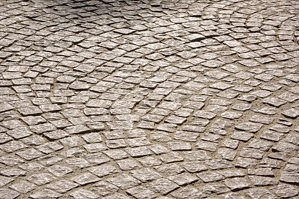 452064 - Pathway with pavers