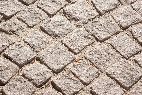 452065 - Pathway with pavers