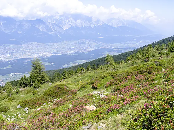 439324 - Patscherkofel, Innsbruck, Austria