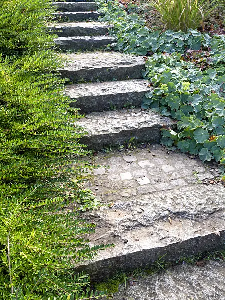 465158 - Paved stone staircase in a garden