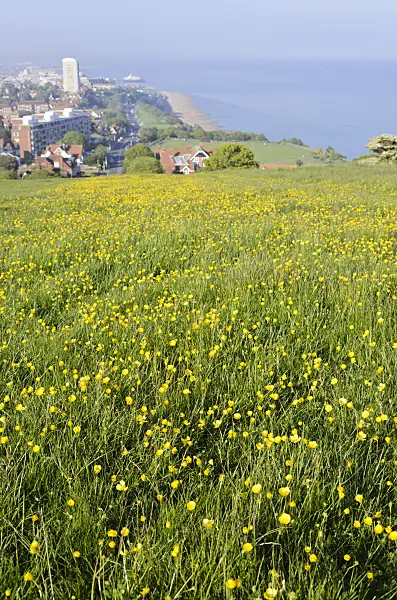533376 - Paysage côtier, parc national de South Downs, Grande-Bretagne