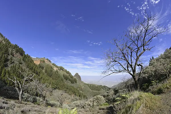 564176 - Paysage montagneux, Gran Canaria, Espagne