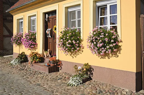 549022 - Pelargoniums (Pelargonium) and begonias (Begonia) in flower boxes and flower pots