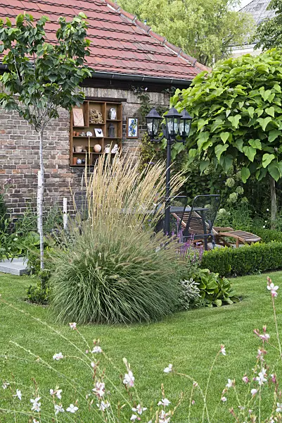 535242 - Pennisetum alopecuroides et calamagrostide (Calamagrostis x acutiflora) devant un salon de jardin