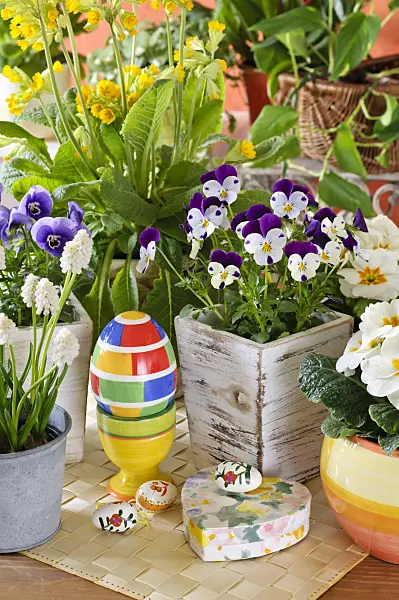 483134 - Pensée à corne (Viola cornuta), muscari d'Arménie (Muscari armeniacum 'White Magic') et primevère acaule (Primula vulgaris syn. Primula acaulis) avec une décoration de Pâques