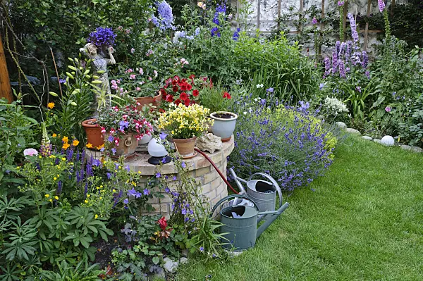 473243 - Perennial bed and annual plants in a backyard garden