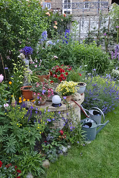 473244 - Perennial bed and annual plants in a backyard garden