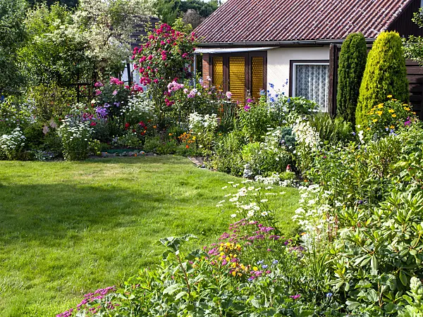 461082 - Perennial bed in an allotment garden