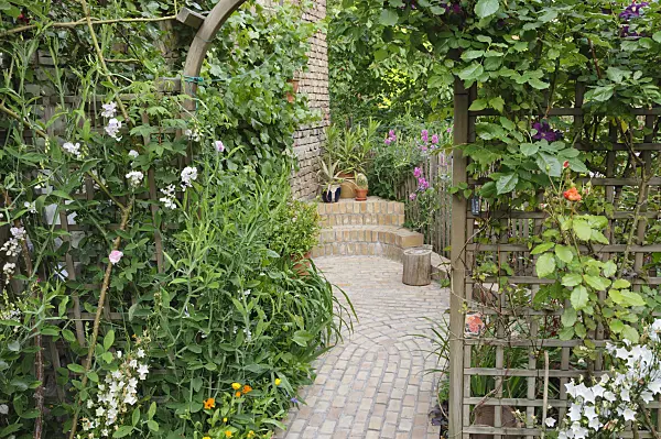 473272 - Perennial bed with trellis in a backyard garden