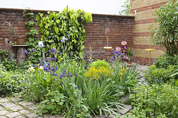 472203 - Perennial beds in a backyard garden