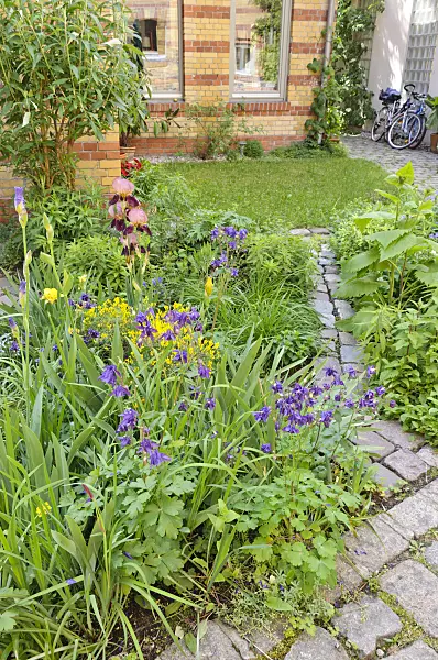 472212 - Perennial beds in a backyard garden
