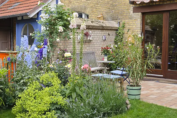 473262 - Perennial border and terrace in a backyard garden