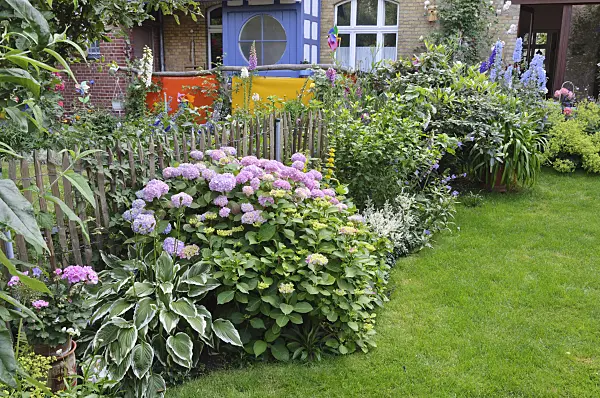 473237 - Perennial border in a backyard garden