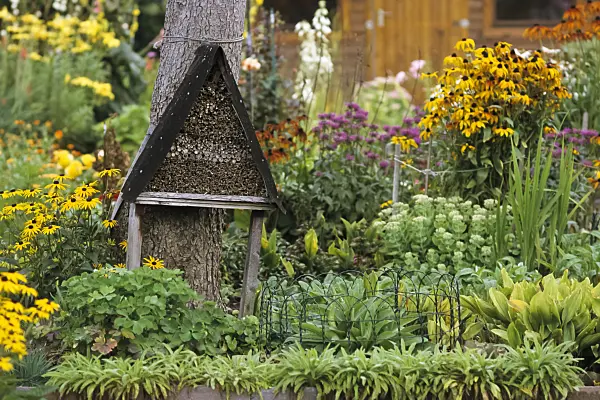 432014 - Perennial border with nesting aid for insects