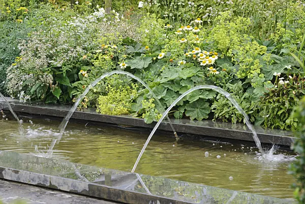 475302 - Perennial border with water basin