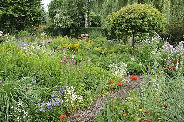 486034 - Perennial garden