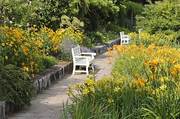 486125 - Perennial garden, Freundschaftsinsel, Potsdam, Germany