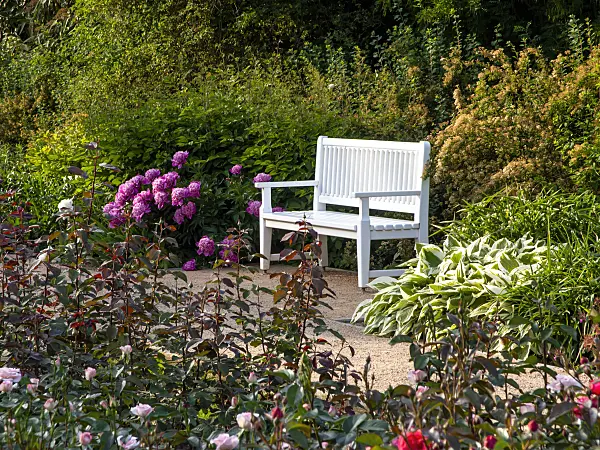 461021 - Perennial garden with bench