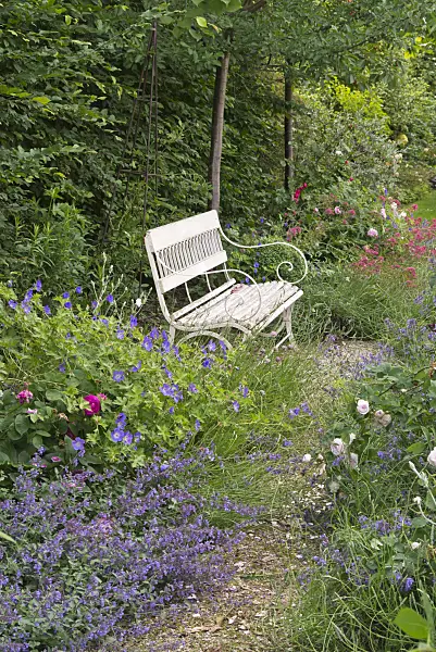 545175 - Perennial garden with bench