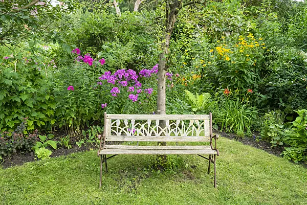 625044 - Perennial garden with bench