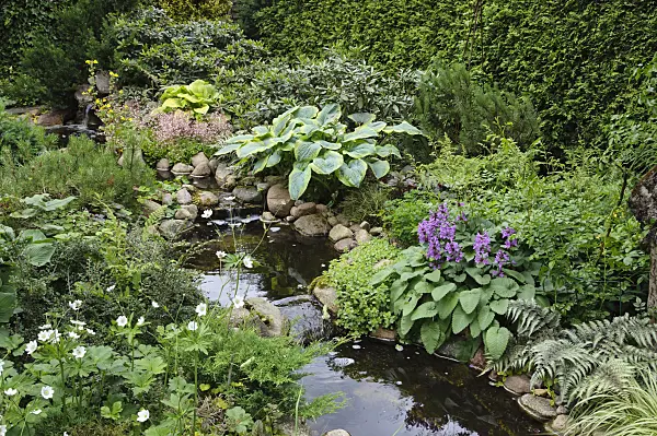 473075 - Perennial garden with brook
