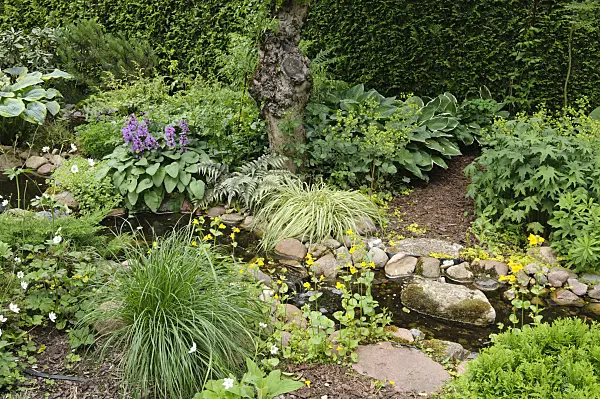 473077 - Perennial garden with brook