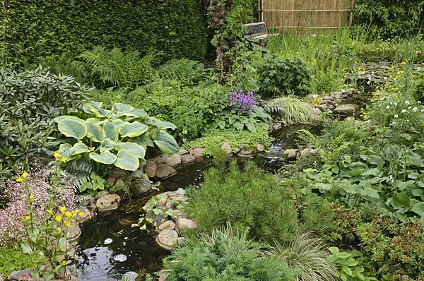 473088 - Perennial garden with brook