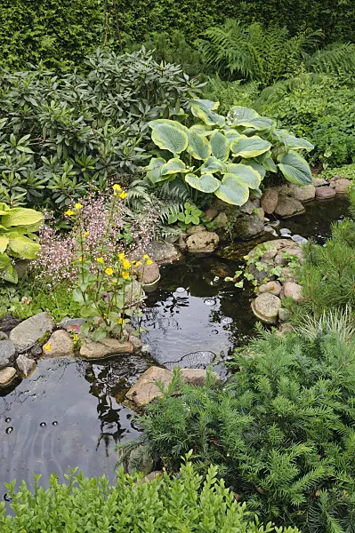 473089 - Perennial garden with brook