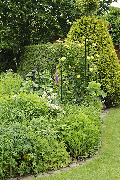 473070 - Perennial garden with climbing rose and beam pump