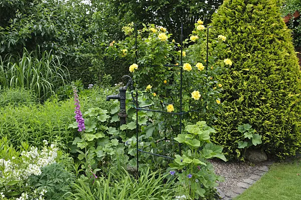 473071 - Perennial garden with climbing rose and beam pump