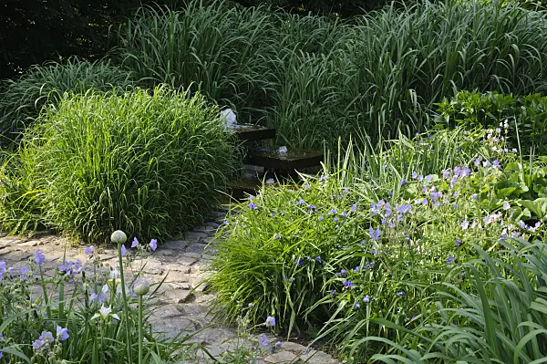 472377 - Perennial garden with fountain