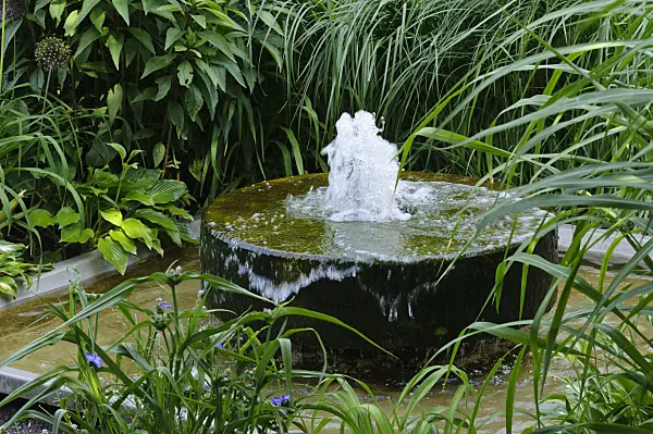 472379 - Perennial garden with fountain