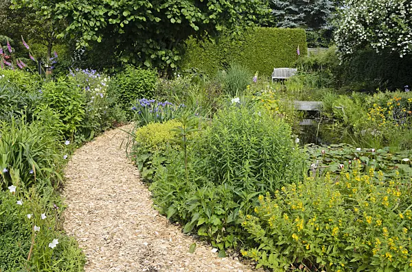 534048 - Perennial garden with garden pond