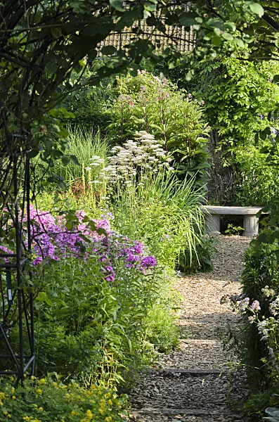 570099 - Perennial garden with stone bench