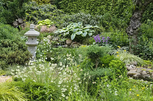 473083 - Perennial garden with stone lantern and a narrow stream with field stones