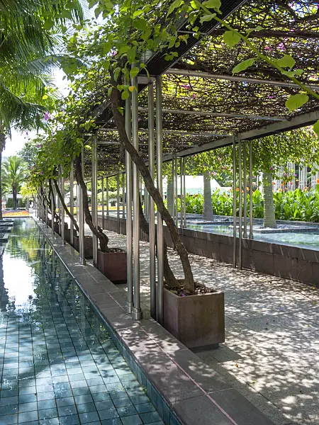 411094 - Pergola, palmiers et bassin d'eau dans un parc tropical, Istana Park, Singapour