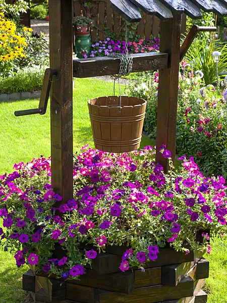 441008 - Petunias (Petunia) in a fountain